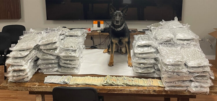 K 9 Sox Seizure